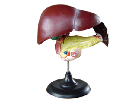 SD-093 33216ʮ֬cKģ